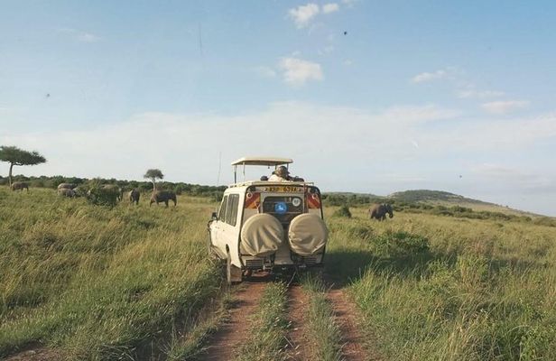 7 Days 6 Nights Aberdares / Lake Nakuru / Masai Mara / Lake Naivasha / Amboseli