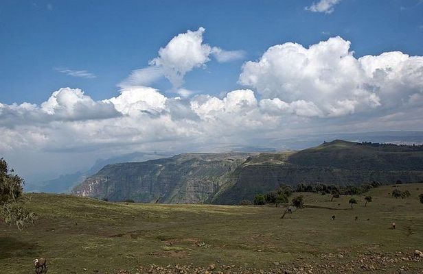 4 Days Simien Mountains Trekking