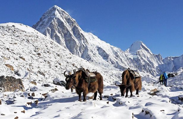 Everest View Trek- 8Days