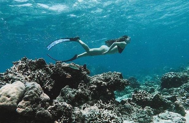 All Inclusive Snorkeling at Blue Lagoon with Lunch