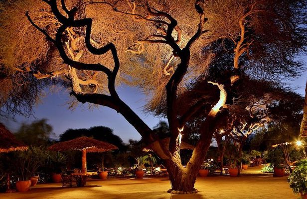 3 Days Amboseli Safari