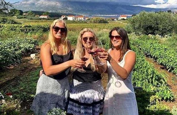 Wine tour Korčula - private tour