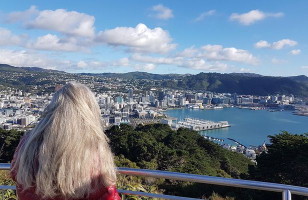 Private Wellington Full Day Sightseeing Tour