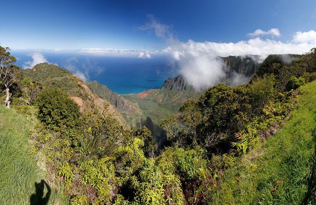 Kauai Island - Private Tour : Waimea Canyon and Southside