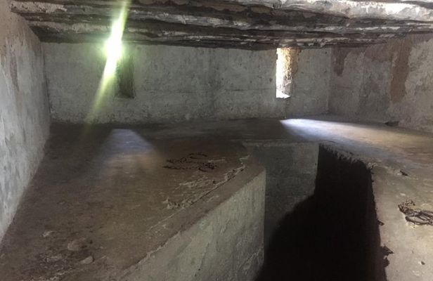 Stone Town, Spice Farm and Jozani Forest Private Tour