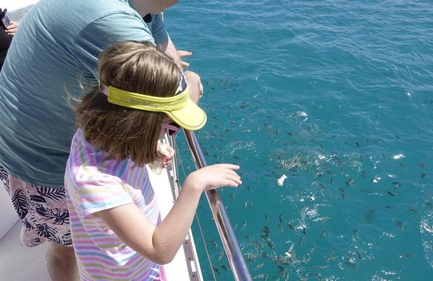 Full Day Reef Safari at St Anne Marine National Park
