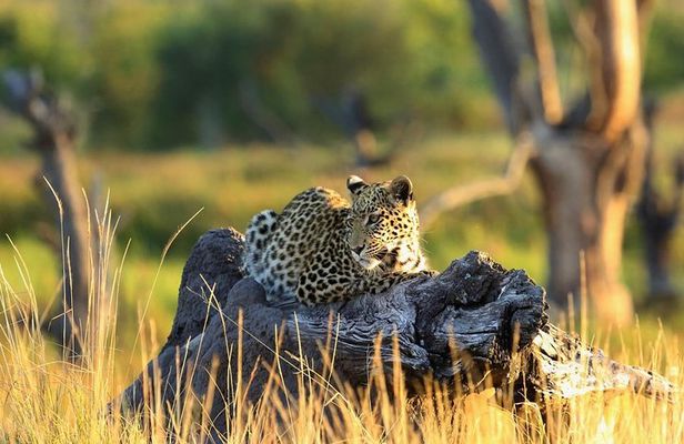 2 days Amboseli National Park Safari