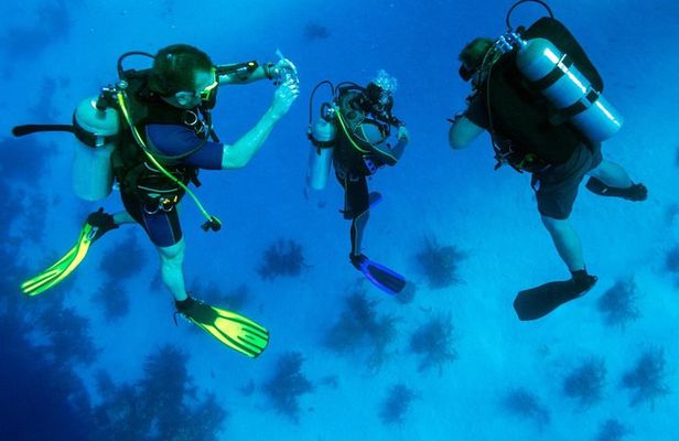 Kusadasi Scuba Diving