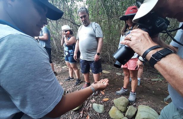 Full day to Ecological Reserve Churute Mangrove and Cocoa Farm Visit