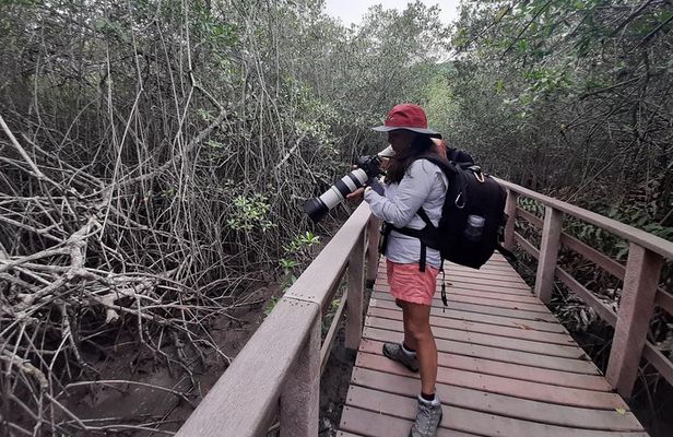 Full day to Ecological Reserve Churute Mangrove