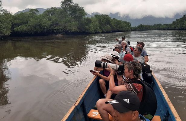 Full day to Ecological Reserve Churute Mangrove and Cacao Farm Visit
