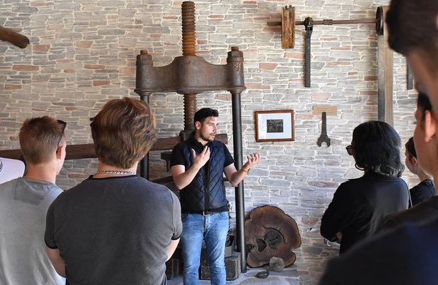 The Governor's Olive Mill Tour with Olive Oil Tasting