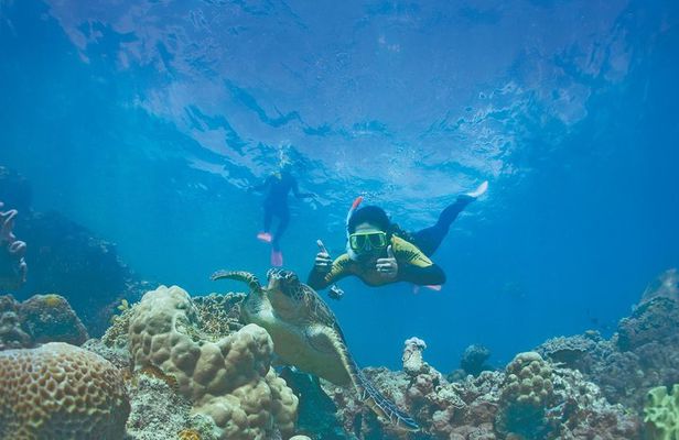 Airlie Beach- Private half day catered & crewed yacht charter