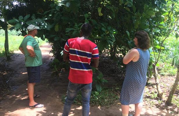 Spice Farm and Jozani Forest Private Tour