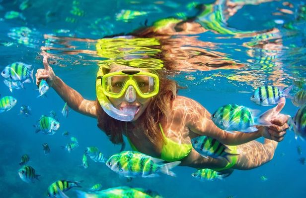 #1 Snorkeling Tour in Catamaran. Open bar & Snacks included