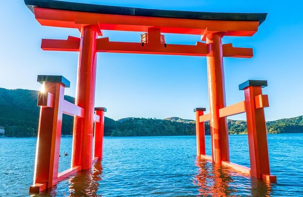 Private Tour - Hakone Day Trip! A Tour to Explore All Must-Sees!