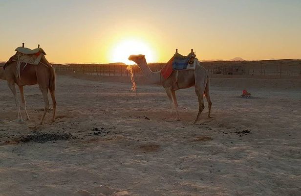 Super Safari ATV Quad Full-Day Tour & Sunset in Marsa Alam
