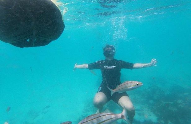 Antilla Shipwreck Seabob Tour