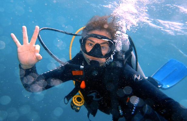 DiveGurus - Open Water Diver Course SSI/PADI