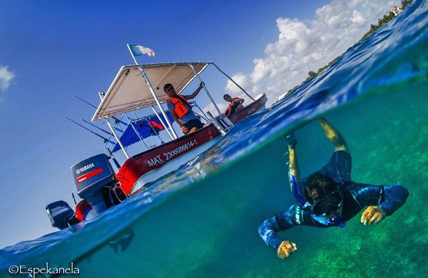 Snorkel boat tour in search of turtles