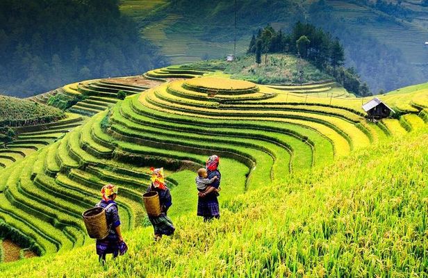 Sapa trekking 2days by bus from Hanoi ( over night in homestay)