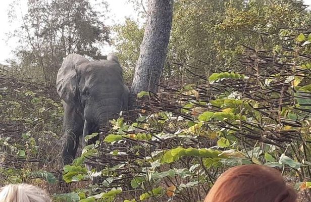 3 Days Trip to Mole National Park