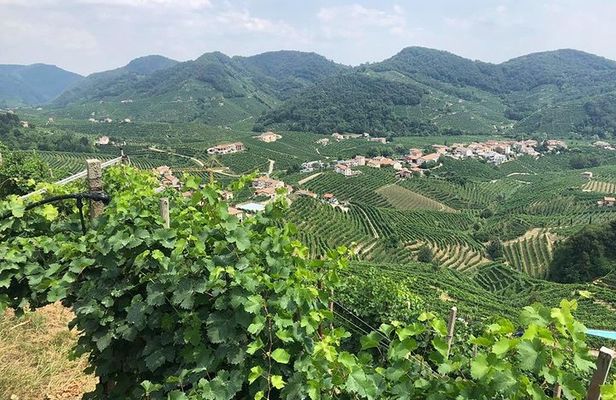 Prosecco and Cheese Tasting. From Venice. Full day