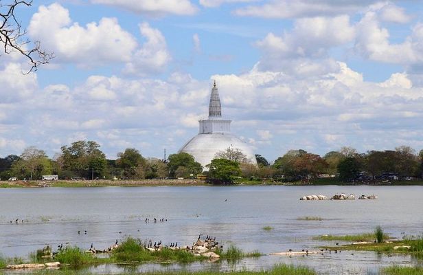 Sri Lanka Multi Day Car Hire with English Speaking Driver-Guide