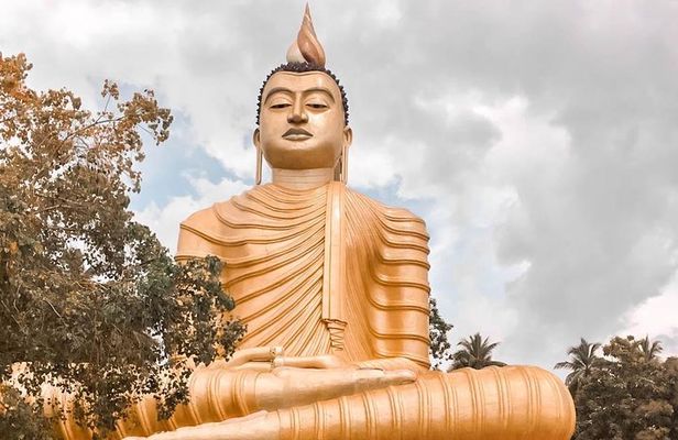 Temples and Wilderness from Negombo (2 Days)