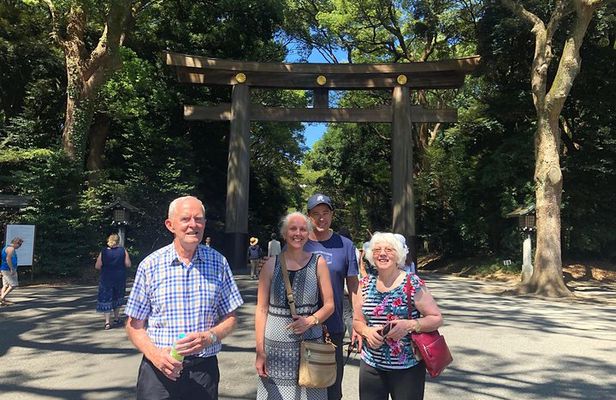 Tokyo 6hr Private Tour with Government-Licensed Guide