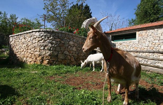 Korcula Island Mountain E Bike Private tour with lunch