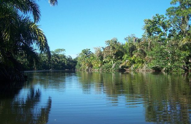 Mangrove & Gandoca Lagoon