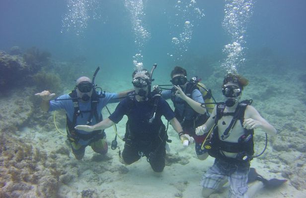 SCUBA Dive Key Largo Reef (min 6 divers)