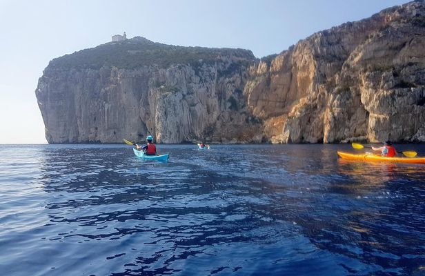 Half Day Sea Kayak Trip