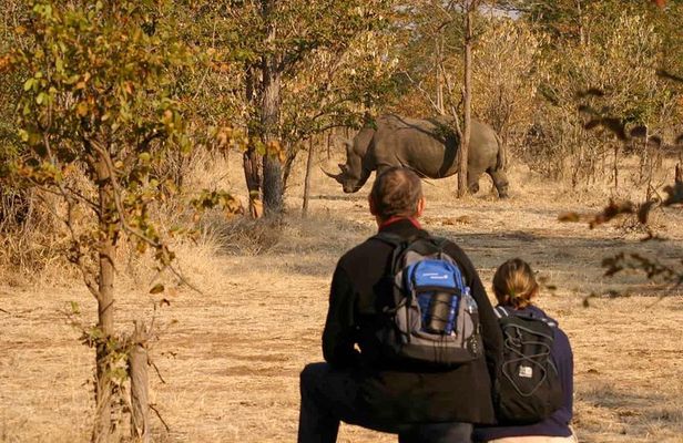 Rhino Walking Safari in the Musi Otunya National Park