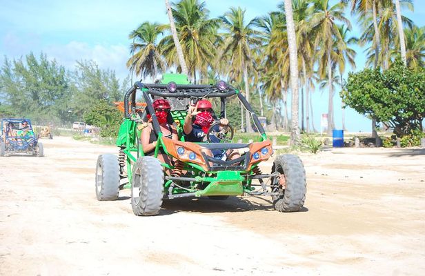 Palm clearance beach buggy