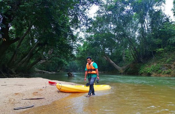 Terengganu Wildlife Kayak Tour