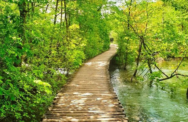 Plitvice Lakes private tour from Zagreb