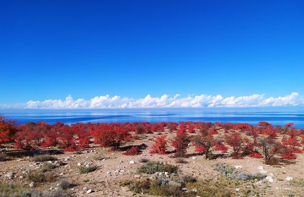 Marvellous 3 days around Issyk-Kul lake 