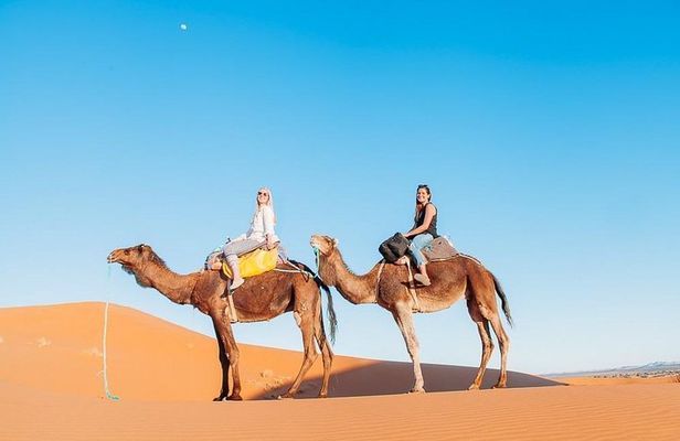 Camel Ride & overnight stay in Desert Camp Merzouga