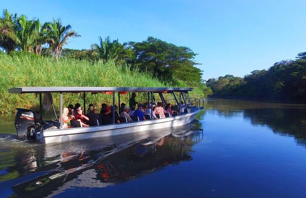 Costa Rican Wildlife: Palo Verde National Park Private Tour