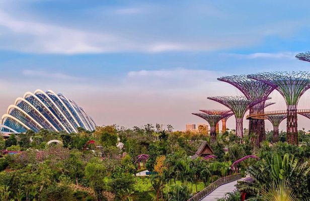Sands SkyPark+Gardens by the Bay(FlowerDome&CloudForest)Transfers