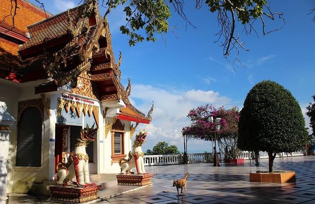 Best Chiang Mai City Tour: Viewpoint, Doi Suthep, Wat Chedi Luang