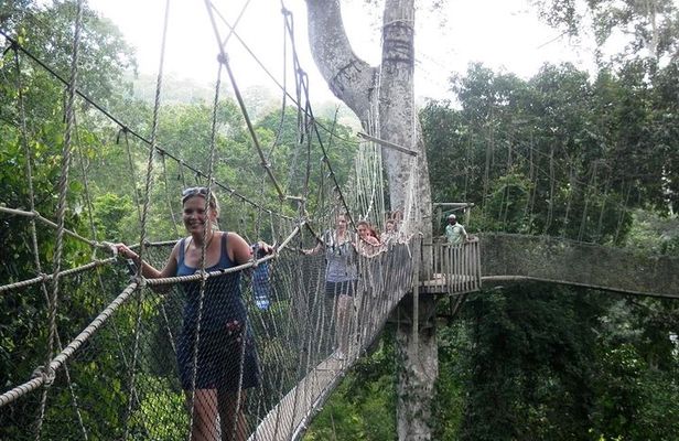 Visit Slave Dungeons (Elmina & Cape Coast) & Canopy Walk + Lunch