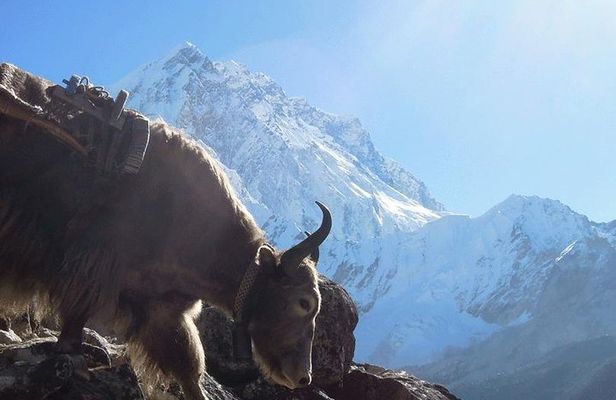 16 Days Everest Base Camp Trek