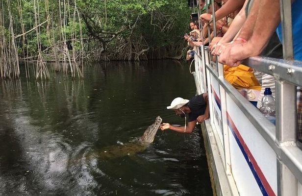 Black River Safari with Transport from Montego Bay
