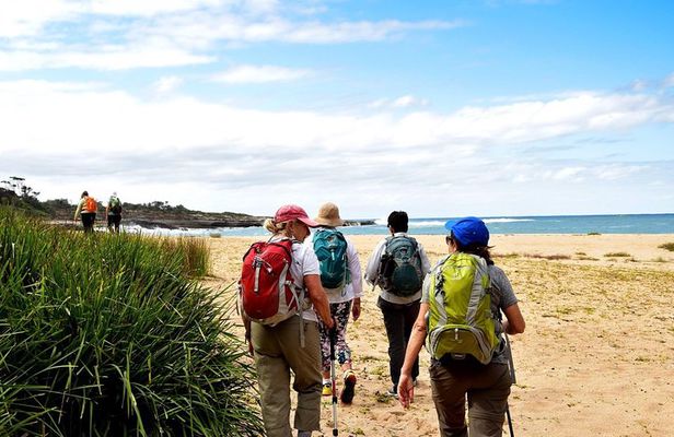 4 Day Murramarang Walk departs Canberra - Guided with Villa Accom