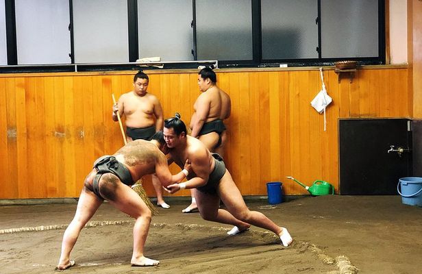 Watch Sumo Morning Practice at Stable in Tokyo