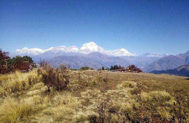 Annapurna Sunrise Trek