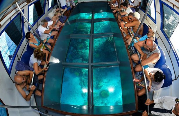 Glass Boat & Snorkeling with day use of Berenice Beach Club